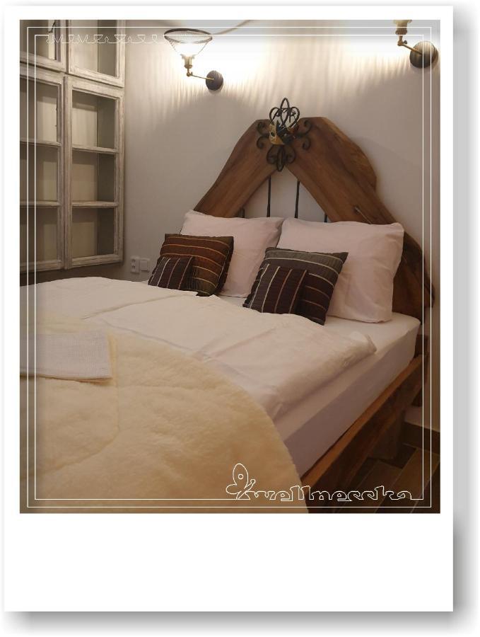 Wellnesska Vyhne Villa Exterior foto